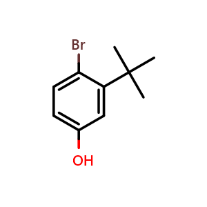 Bromo Tert Butyl Phenol Cas Achemblock