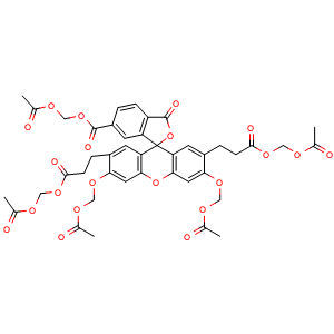 BCECF-AM