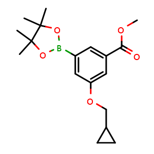 Chemical structure of Methyl 3-(cyclopropylmethoxy)-5-(4,4,5,5-tetramethyl-1,3,2-dioxaborolan-2-yl)benzoate , CAS 1218789-62-8, AChemBlock AD239587