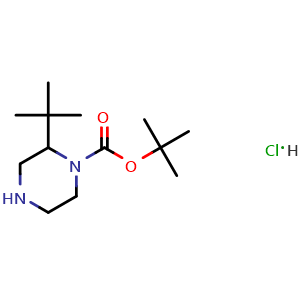 tert-Butyl 2-tert-butylpiperazine-1-carboxylate hydrochloride