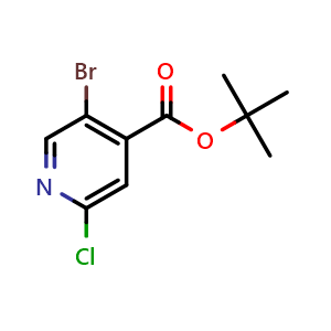 Chemical structure of 5-Bromo-2-chloro-isonicotinic acid tert-butyl ester , CAS 1609130-63-3, AChemBlock AD240494