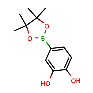 Chemical structure of 4-(4,4,5,5-tetramethyl-1,3,2-dioxaborolan-2-yl)benzene-1,2-diol , CAS 2095372-76-0, AChemBlock AD241088