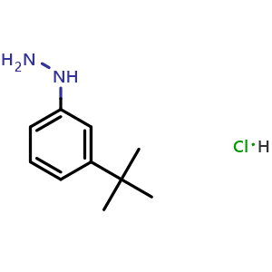 (3-(tert-Butyl)phenyl)hydrazine hydrochloride