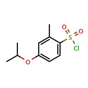 Chemical structure of 2-Methyl-4-(propan-2-yloxy)benzene-1-sulfonyl chloride , CAS 1016512-29-0, AChemBlock AD244783