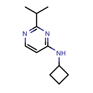 Chemical structure of N-cyclobutyl-2-(propan-2-yl)pyrimidin-4-amine , CAS 1872918-90-5, AChemBlock AD245322