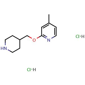 Chemical structure of 4-methyl-2-[(piperidin-4-yl)methoxy]pyridine dihydrochloride , CAS 2097936-29-1, AChemBlock AD245506