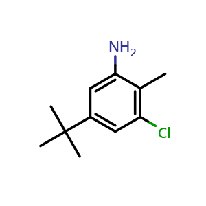 Chemical structure of 5-tert-butyl-3-chloro-2-methylaniline , CAS 1506308-23-1, AChemBlock AD245739