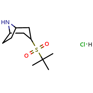 Chemical structure of 3-(2-methylpropane-2-sulfonyl)-8-azabicyclo[3.2.1]octane hydrochloride , CAS 2097896-99-4, AChemBlock AD246547