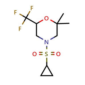 4-(cyclopropanesulfonyl)-2,2-dimethyl-6-(trifluoromethyl)morpholine