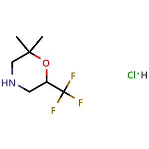 2,2-dimethyl-6-(trifluoromethyl)morpholine hydrochloride