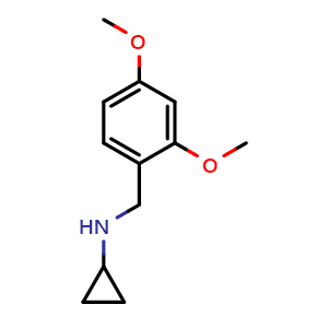 N-[(2,4-dimethoxyphenyl)methyl]cyclopropanamine