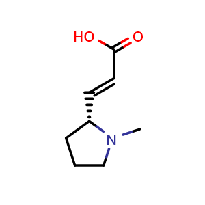 Chemical structure of (R,E)-3-(1-Methylpyrrolidin-2-yl)acrylic acid , CAS 2143460-75-5, AChemBlock AD251133