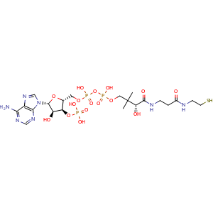 Chemical structure of Coenzyme A , CAS 85-61-0, AChemBlock AD254560