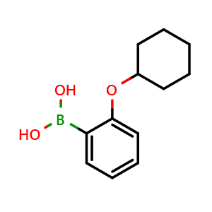 Chemical structure of B-[2-(Cyclohexyloxy)phenyl]boronic acid , CAS 1313760-77-8, AChemBlock AD254893