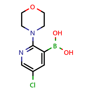 Chemical structure of 5-Chloro-2-(morpholino)pyridine-3-boronic acid , CAS 2096329-77-8, AChemBlock AD255320