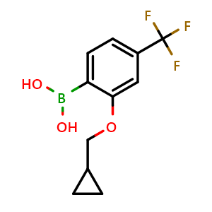 Chemical structure of 2-(Cyclopropylmethoxy)-4-trifluoromethylphenylboronic acid , CAS 2096336-06-8, AChemBlock AD255345