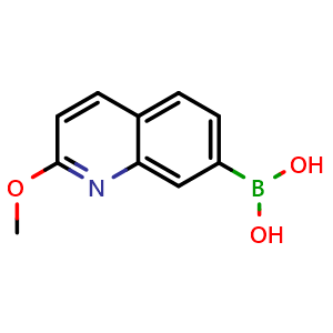 Chemical structure of 2-Methoxyquinoline-7-boronic acid , CAS 2377608-28-9, AChemBlock AD255559