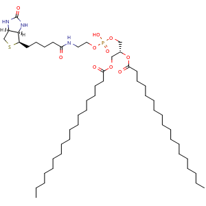 Chemical structure of DSPE-Biotin , CAS 2933185-14-7, AChemBlock AD255736