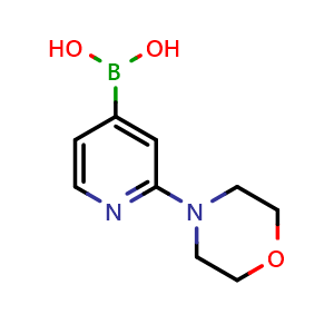 Chemical structure of (2-Morpholin-4-ylpyridin-4-yl)boronic acid , CAS 952206-85-8, AChemBlock AD256109