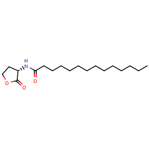 (S)-N-(2-Oxotetrahydrofuran-3-yl)tetradecanamide