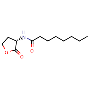 Chemical structure of N-[(3S)-2-oxooxolan-3-yl]octanamide , CAS 147852-84-4, AChemBlock AD256619