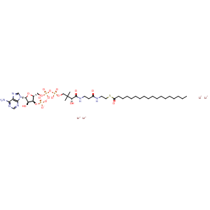 Chemical structure of Stearoyl coenzyme A (lithium) , CAS 193402-48-1, AChemBlock AD256790