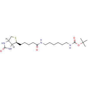 Chemical structure of N-Boc-6-Biotinamidohexylamine , CAS 153162-70-0, AChemBlock AD258675