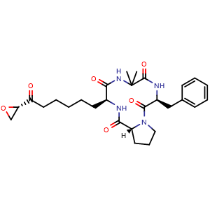 Chemical structure of Chlamydocin , CAS 53342-16-8, AChemBlock AD261972