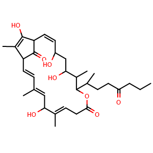 Chemical structure of 4,6,14,21-Tetrahydroxy-7,13,16,20-tetramethyl-8-(1-methyl-4-oxoheptyl)-9-oxabicyclo[17.2.1]docosa-2,12,15,17,20-pentaene-10,22-dione , CAS 2734315-59-2, AChemBlock AD262022