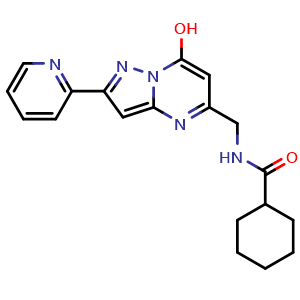 Chemical structure of N-((7-Hydroxy-2-(pyridin-2-yl)pyrazolo[1,5-a]pyrimidin-5-yl)methyl)cyclohexanecarboxamide , CAS 1381263-44-0, AChemBlock AD262251