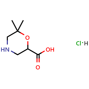 Chemical structure of 6,6-Dimethylmorpholine-2-carboxylic acid hydrochloride , CAS 2260937-66-2, AChemBlock AD263218