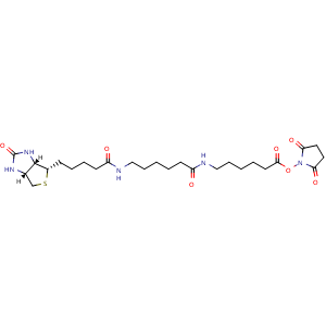 Chemical structure of Biotin-LC-LC-NHS , CAS 89889-52-1, AChemBlock AD263926