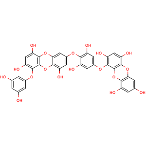 Chemical structure of Dieckol , CAS 88095-77-6, AChemBlock AD264146