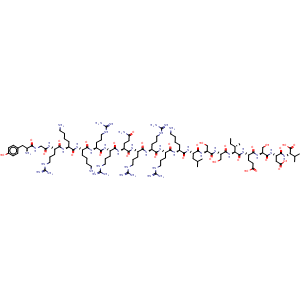 Chemical structure of Tat-NR2B9c , CAS 500992-11-0, AChemBlock AD264189