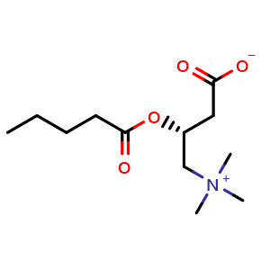 Chemical structure of Valerylcarnitine , CAS 40225-14-7, AChemBlock AD264198