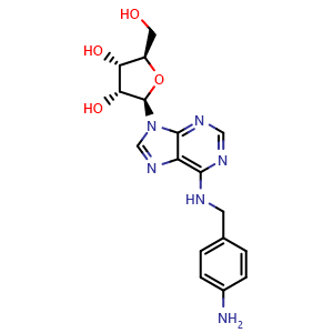 Chemical structure of N-[(4-Aminophenyl)methyl]adenosine , CAS 95523-13-0, AChemBlock AD264327