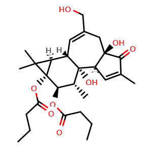 Chemical structure of Phorbol 12,13-dibutyrate , CAS 37558-16-0, AChemBlock AD264350