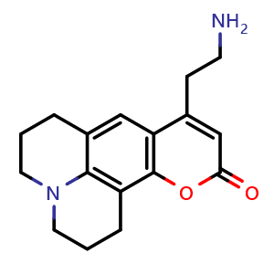 FFN 511