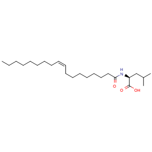 Chemical structure of N-Oleoyl Leucine , CAS 136560-76-4, AChemBlock AD264900