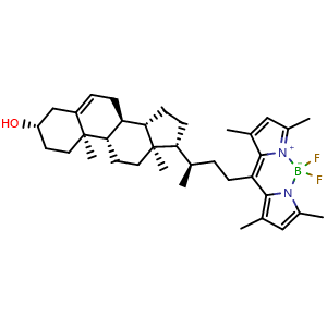 Chemical structure of BODIPY-Cholesterol , CAS 878557-19-8, AChemBlock AD265071