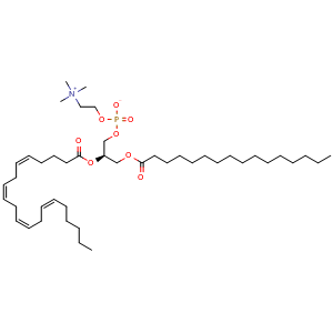Chemical structure of 1-Palmitoyl-2-Arachidonoyl-sn-glycero-3-PC , CAS 35418-58-7, AChemBlock AD265693