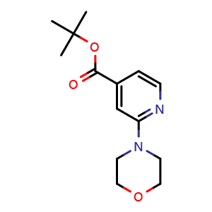 Chemical structure of tert-Butyl 2-morpholinoisonicotinate , CAS 295349-63-2, AChemBlock AD266355