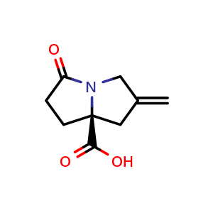 (S)-2-Methylene-5-oxotetrahydro-1H-pyrrolizine-7a(5H)-carboxylic acid