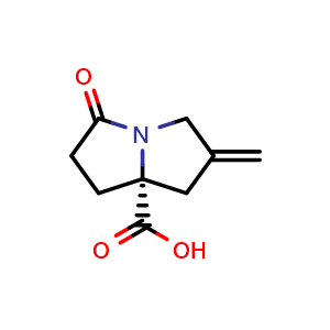 (R)-2-Methylene-5-oxotetrahydro-1H-pyrrolizine-7a(5H)-carboxylic acid