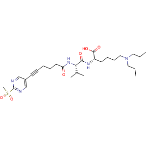Chemical structure of (S)-6-(Dipropylamino)-2-((S)-3-methyl-2-(6-(2-(methylsulfonyl)pyrimidin-5-yl)hex-5-ynamido)butanamido)hexanoic acid , CAS 2821769-84-8, AChemBlock AD270265