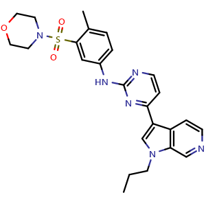 Chemical structure of N-(4-methyl-3-(morpholine-4-sulfonyl)phenyl)-4-(1-propyl-1H-pyrrolo[2,3-c]pyridin-3-yl)pyrimidin-2-amine , CAS 1225586-11-7, AChemBlock AD270635