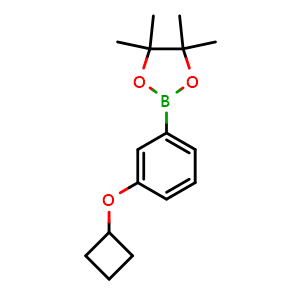 Chemical structure of 2-(3-Cyclobutoxyphenyl)-4,4,5,5-tetramethyl-1,3,2-dioxaborolane , CAS 2275606-47-6, AChemBlock AD272917