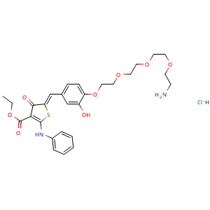 Chemical structure of (Z)-Ethyl 5-(4-(2-(2-(2-(2-aminoethoxy)ethoxy)ethoxy)ethoxy)-3-hydroxybenzylidene)-4-oxo-2-(phenylamino)-4,5-dihydrothiophene-3-carboxylate hydrochloride , CAS 2561412-19-7, AChemBlock AD272948