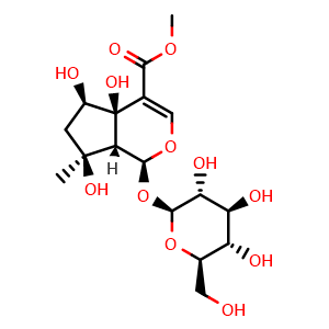 6beta-Hydroxyipolamiide