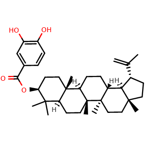 Chemical structure of 3,4-Dihydroxybenzoyllupeol , CAS 2231323-99-0, AChemBlock AD273860